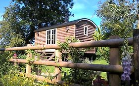 Duck Hut